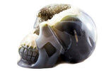 Blue Grey Agate and Quartz Geode Skull [11X81]