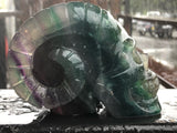 Rainbow Fluorite Pan Skull [1k1160]