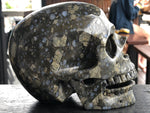 Que Sera (Llianite) Laughing or Singing Skull [17Y63]
