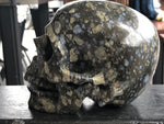 Que Sera (Llianite) Laughing or Singing Skull [17Y63]