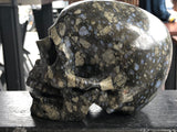 Que Sera (Llianite) Laughing or Singing Skull [17Y63]