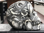 Black Marine Fossil Skull [1k282]
