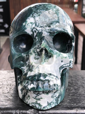 Tree Agate/Moss Agate Skull [25V63]