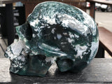 Tree Agate/Moss Agate Skull [25V63]