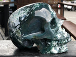 Tree Agate/Moss Agate Skull [25V63]