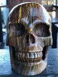 Western Australian Tiger Iron Skull [1k1054]