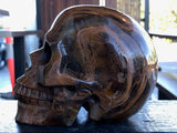 Western Australian Tiger Iron Skull [1k1054]