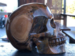Western Australian Tiger Iron Skull [1k1054]