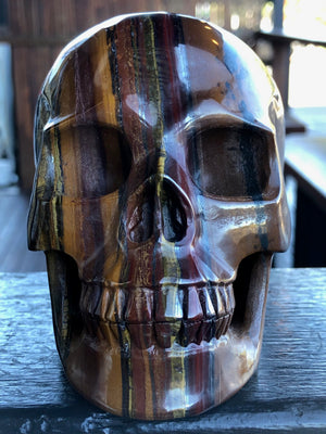 South African Tiger Iron Skull [1k1056]