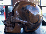 South African Tiger Iron Skull [1k1056]