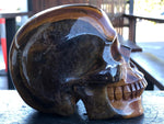 South African Tiger Iron Skull [1k1056]