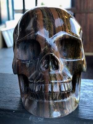 South African Tiger Iron Skull [1k1058]