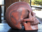 Australian Print Stone Skull [1k1064]