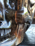 Black, Magenta and Yellow Banded Fluorite Skull and Snake Sculpture Skull [1k1078]