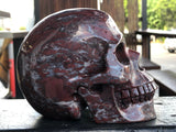 Brecciated Red Jasper Skull [1k1111]