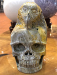 Bumble Bee (Eclipse) Jasper Skull and Raven Sculpture [1k1137]