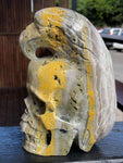 Bumble Bee (Eclipse) Jasper Skull and Raven Sculpture [1k1137]