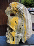 Bumble Bee (Eclipse) Jasper Skull and Raven Sculpture [1k1137]