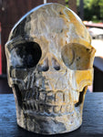 Bumble Bee (Eclipse) Jasper Skull [1k1138]