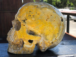 Bumble Bee (Eclipse) Jasper Skull [1k1138]