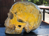 Bumble Bee (Eclipse) Jasper Skull [1k1138]
