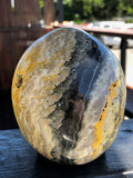 Bumble Bee (Eclipse) Jasper Skull [1k1138]