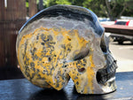 Bumble Bee (Eclipse) Jasper Skull [1k1138]