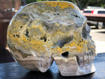 Bumble Bee (Eclipse) Jasper Skull [1k1139]