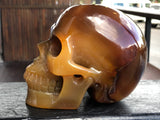 Carnelian Skull [1k1141]