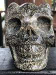 Ocean Japer Pan Skull [1k1184]
