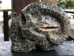 Ocean Japer Pan Skull [1k1184]
