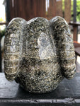Ocean Japer Pan Skull [1k1184]