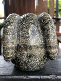 Ocean Japer Pan Skull [1k1184]