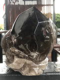 Smoky Quartz Double Skull Sculpture [1k1245]