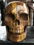 South African Tiger Iron Skull [1k1293]