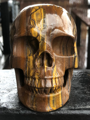 South African Tiger Iron Skull [1k1293]