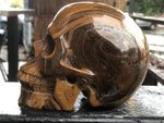 South African Tiger Iron Skull [1k1293]