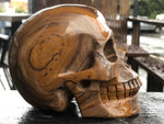 South African Tiger Iron Skull [1k1293]