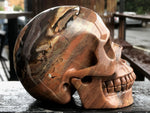 Dinosaur Egg Agate Skull [1k1261]