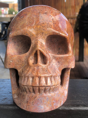 Red Moss Agate Skull [1k1260]