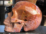 Red Moss Agate Skull [1k1260]