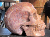 Red Moss Agate Skull [1k1260]