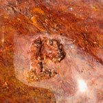 Red Moss Agate Skull [1k1260]