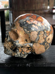 Maligano Jasper Skull [1k1331]