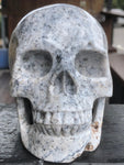 Flower Agate Skull [1k1347]