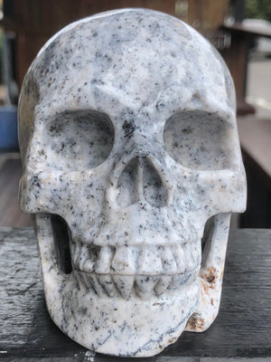 Flower Agate Skull [1k1347]