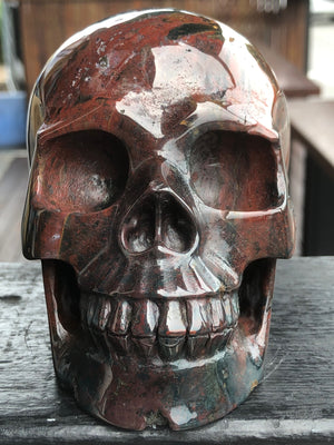 Indian Agate Skull [1k1384]