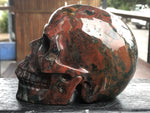Indian Agate Skull [1k1384]