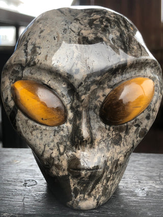 Polychrome Jasper Alien with Tiger Eye Eyes [1k1393]
