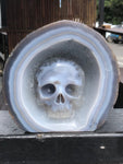 Blue Agate and Quartz Skull Sculpture [1k1385]